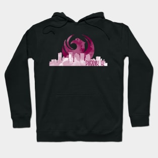 Phoenix Skyline Flag Design Hoodie